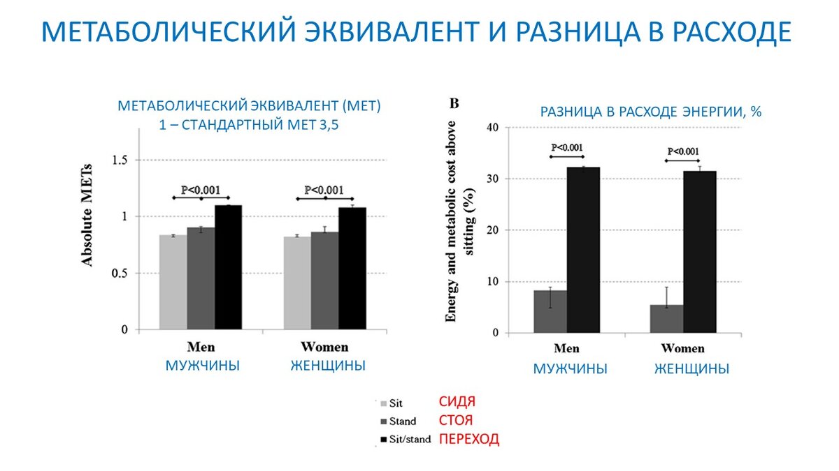 Расход калорий сидя и стоя - есть ли разница? Научный эксперимент | Василий  Волков | Дзен