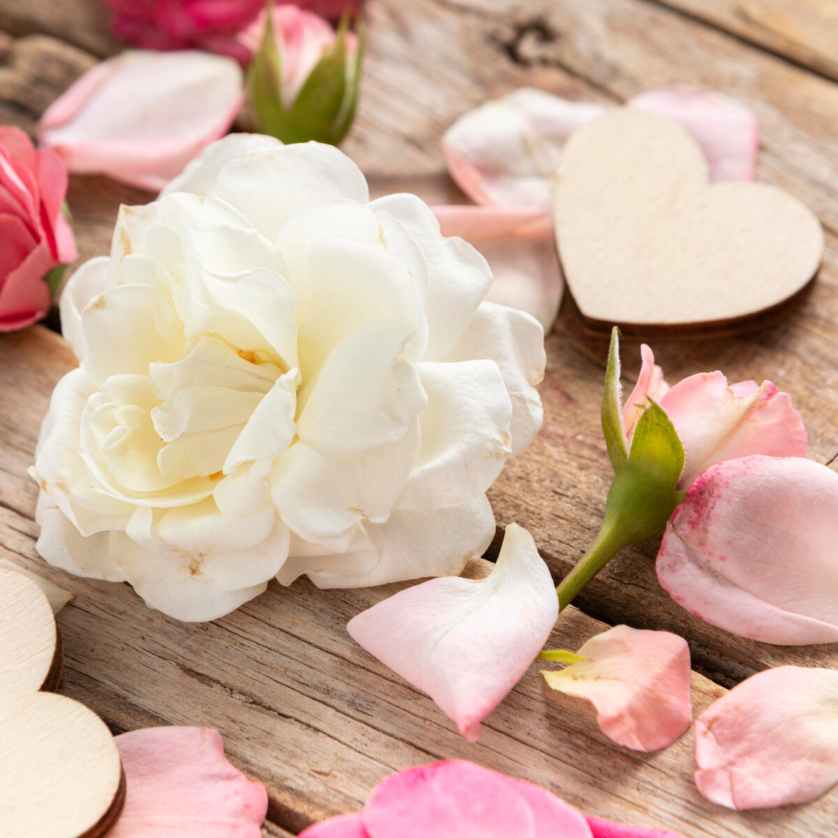 Изображение от <a href="https://ru.freepik.com/free-photo/beautiful-floral-valentine-s-day-concept_10700025.htm#page=2&query=%D0%BB%D1%8E%D0%B1%D0%BE%D0%B2%D1%8C&position=8&from_view=search&track=sph&uuid=0c20599e-139d-4f65-98fb-e9810dbf0bac">Freepik</a>