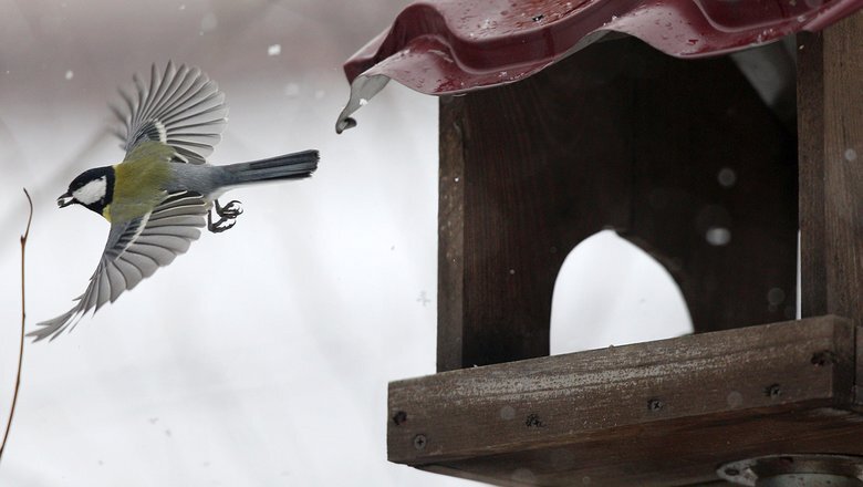 Источник: РИА "Новости"