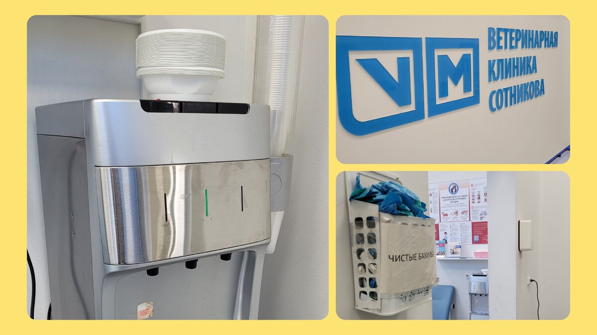 Куллер с мисками меня покорил