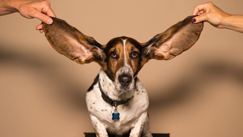 Источник: Здоровье Mail.Ru