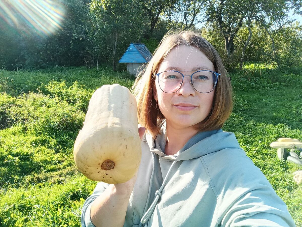 Маринованная тыква как ананас. Супер вкусная заготовка, спешим делать тыкву  к Новому году | Виктория Радзевская - Дачные секреты | Дзен