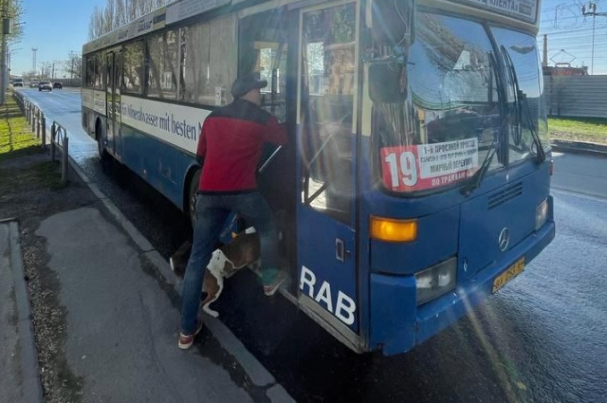    Саратовцы стоят на остановках ради автобусов за 10 рублей