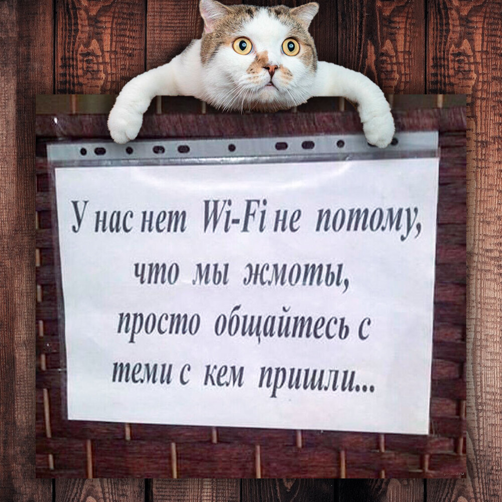 Смотри, птичка. Хвать тебя за яичко», - дразнилки нашего детства. Кто  помнит, тот помнит. От дразнилок даже были «противоядия» | Степан  Корольков~Хранитель маяка | Дзен
