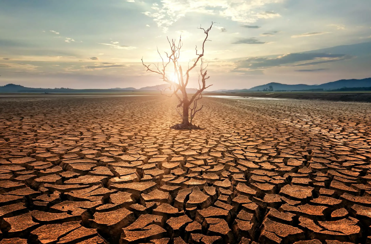 Природа голода. Засуха. Пустыня засуха. Атмосферная засуха. Засуха в природе.