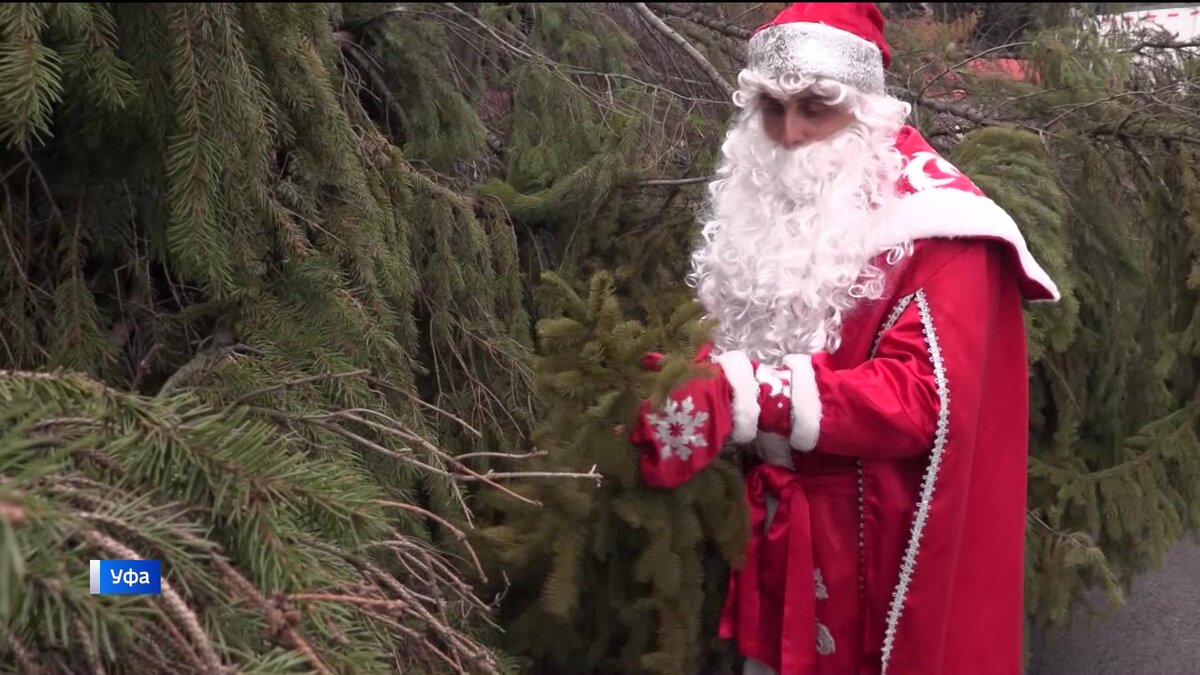    Первую новогоднюю елку установили в уфимском Затоне - сюжет "Вестей"