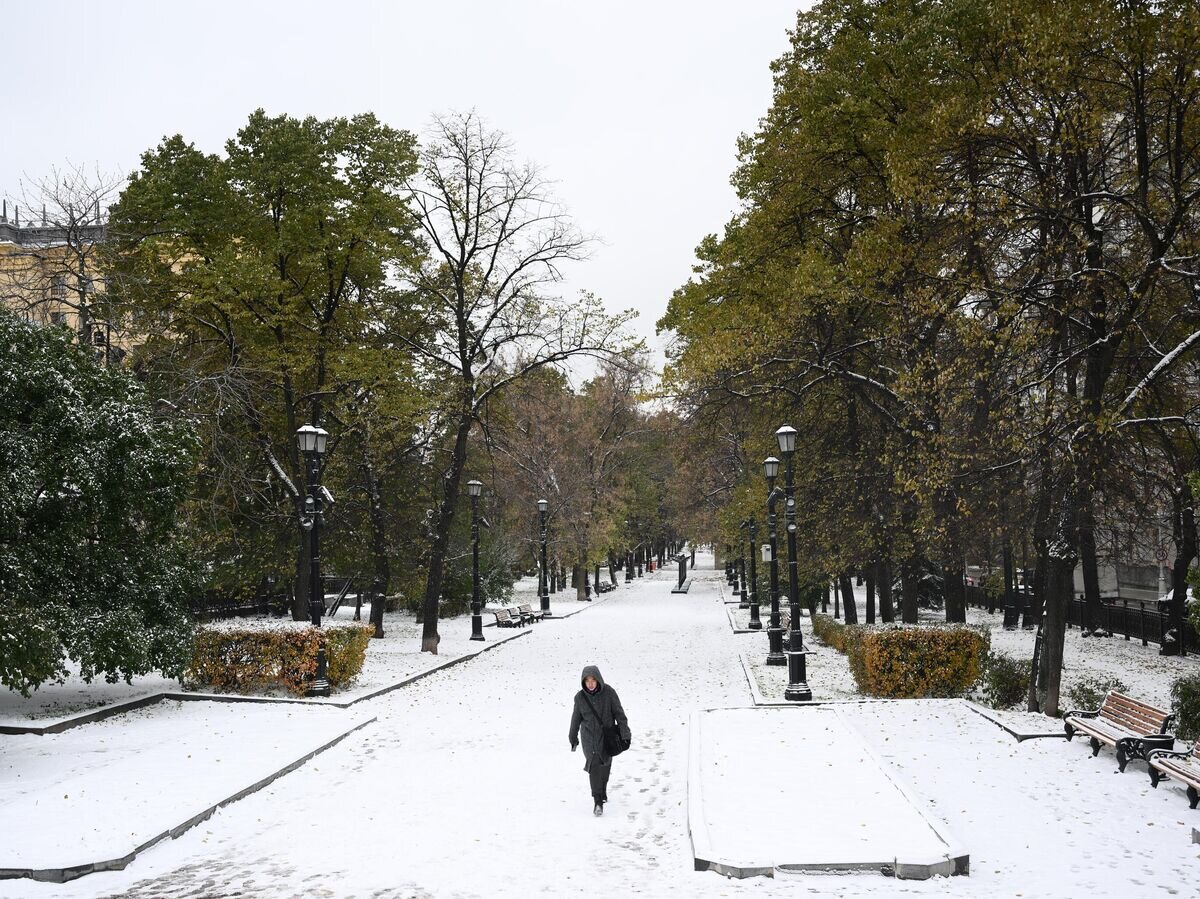    Снег в Москве© РИА Новости / Владимир Астапкович