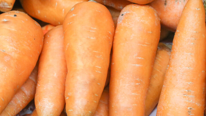 PETROV SERGEY/NEWS.RU/GLOBALLOOKPRESS