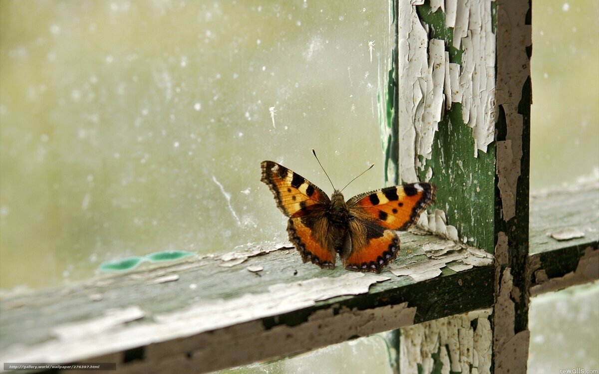 Фото fotostrana.ru