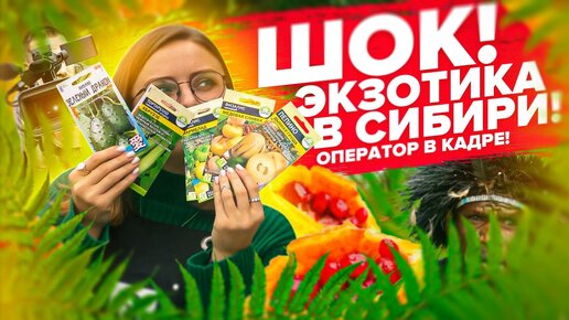 ЭКЗОТИКА В СИБИРИ и ОПЕРАТОР В КАДРЕ! Бамия, пепино, кивано, мамордика, тортарелло, физалис