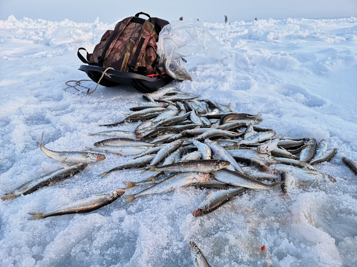 Южно Сахалинск Охотское море зима