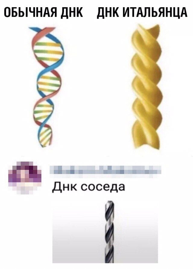 Вчера сосед с такой ДНК весь день делал ремонт.