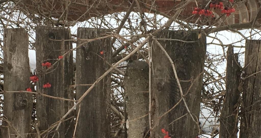 «Вам субсидия не положена, ведь вы продали дом!»