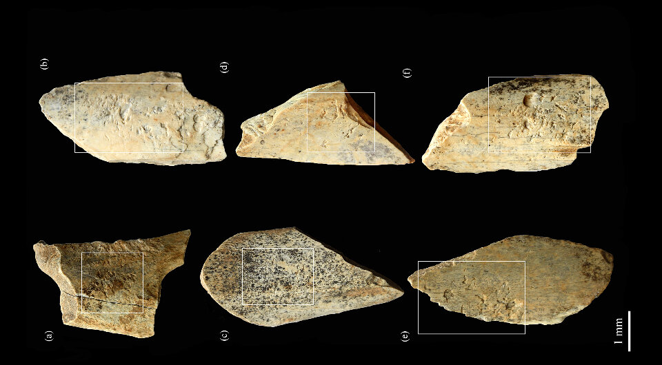   Antonio Romero et al. / International Journal of Osteoarchaeology, 2023