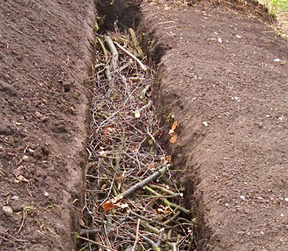 траншея для грядки