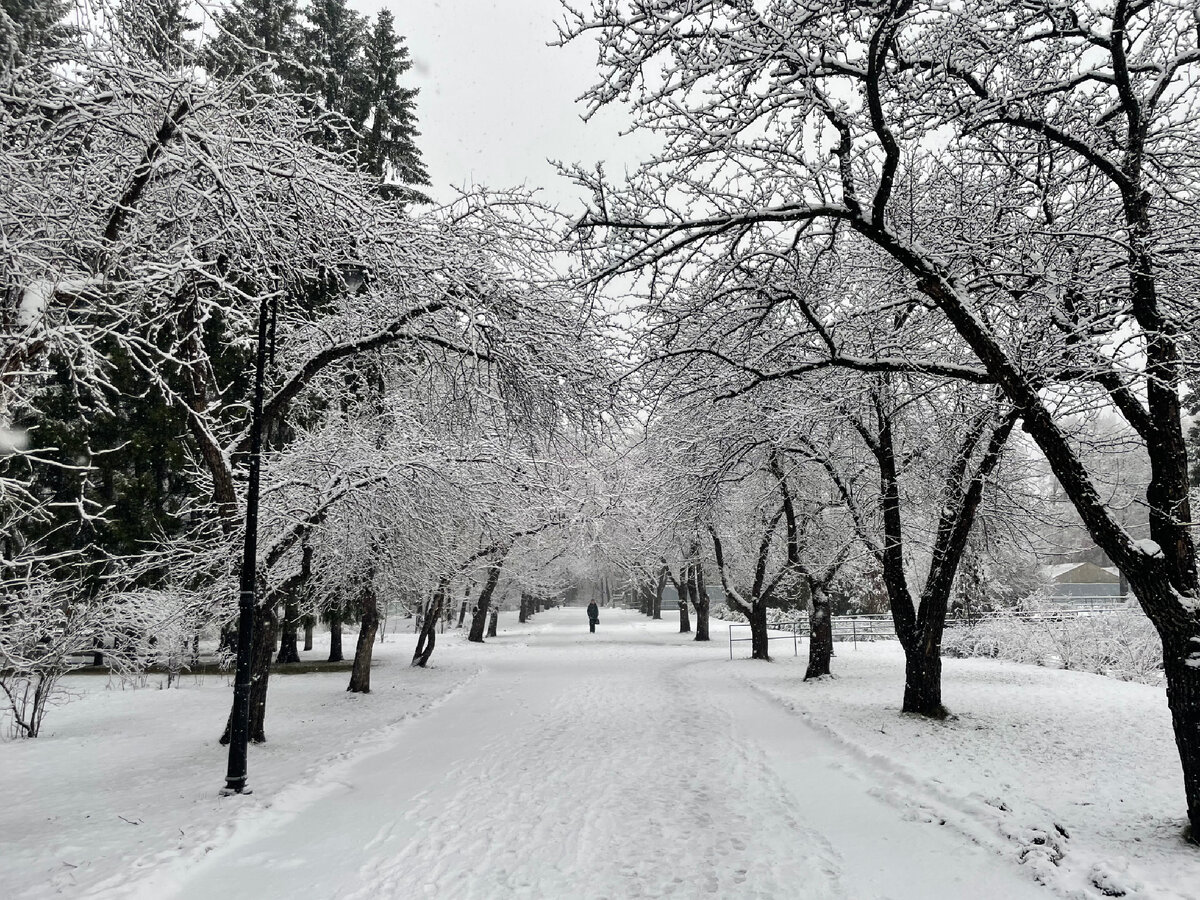 Фото из личного архива. 