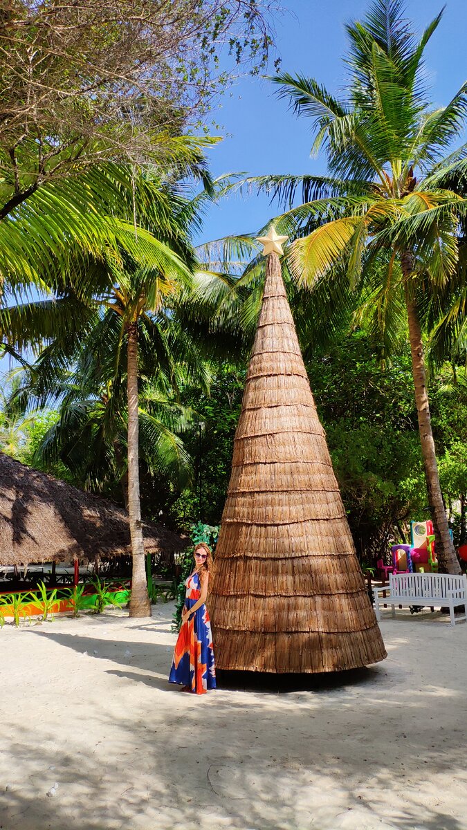 Вот такие новогодние ёлочки устанавливают резорты. Ночью они светятся новогодними огоньками. Всё очень красиво и необычно. Грамматика Путешествий. 