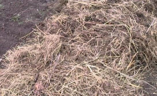 Процесс посадки