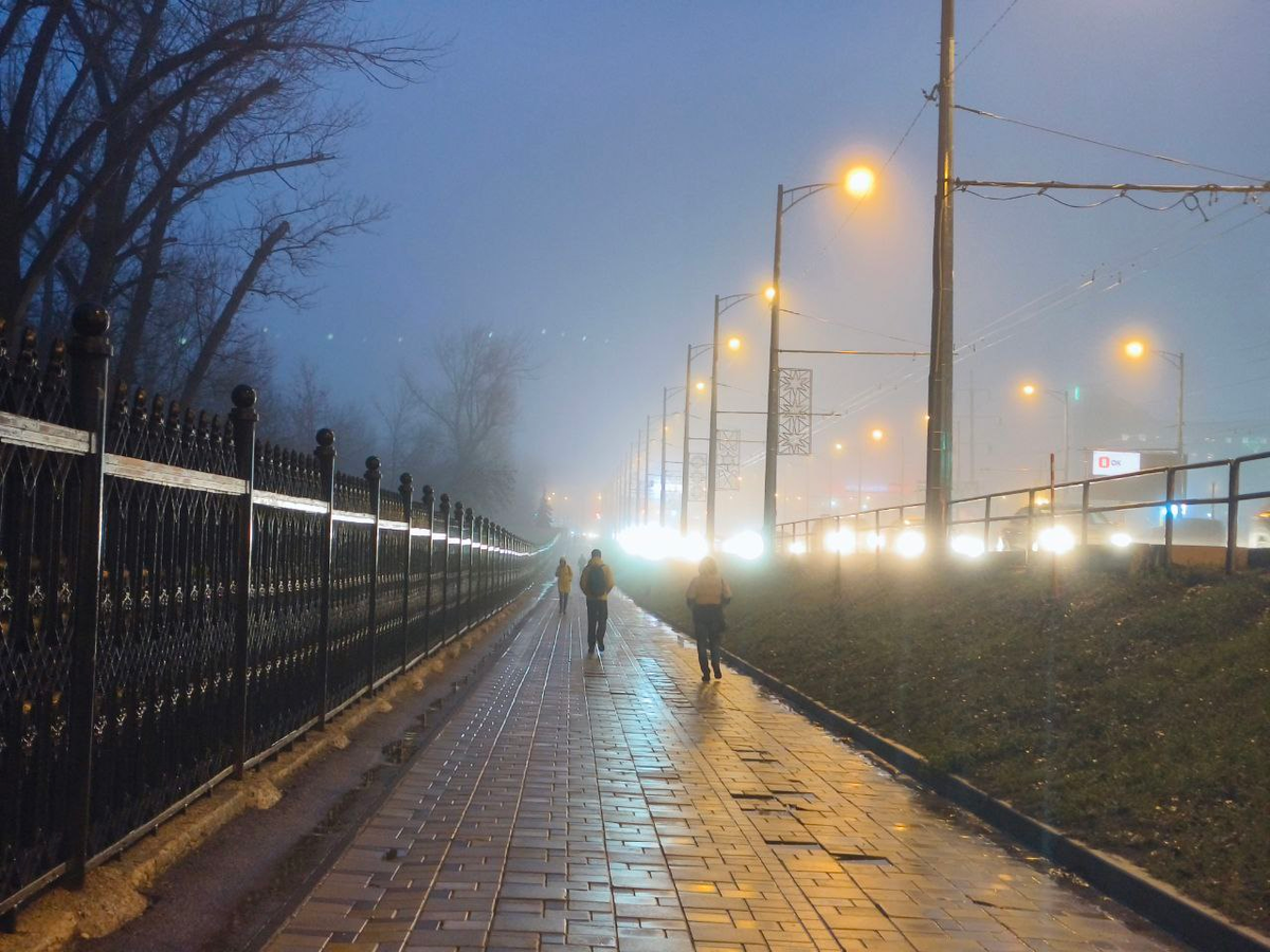 Московское шоссе, Ботанический сад Самарского университета. 16 ноября