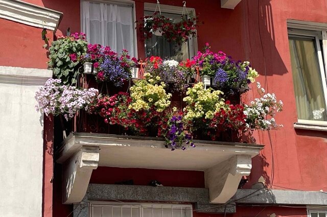    Фото: Администрация Красноярска