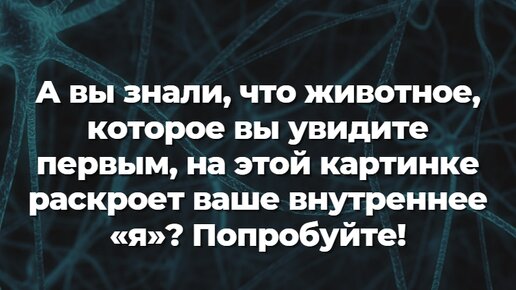 А вы знали, что животное, которое вы увидите первым, на этой картинке раскроет ваше внутреннее «я»? Попробуйте!