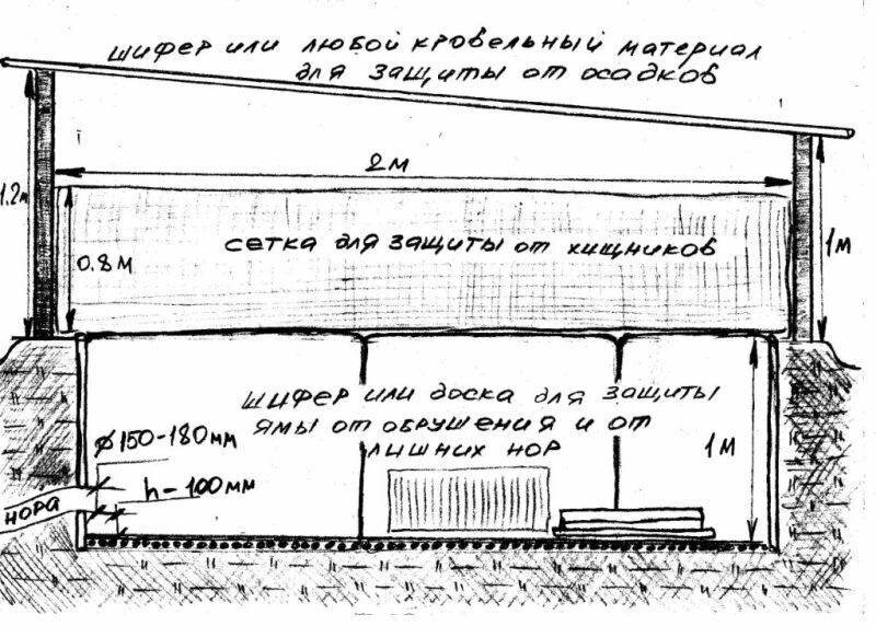 Яма для кроликов