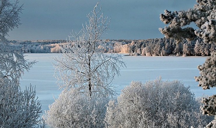 Сколько в нашей стране квадратных километров, столько и новогодних приключений. Хотите встретиться лицом к лицу, в смысле, к усатой морде, с котом Баюном из русских волшебных сказок?-3