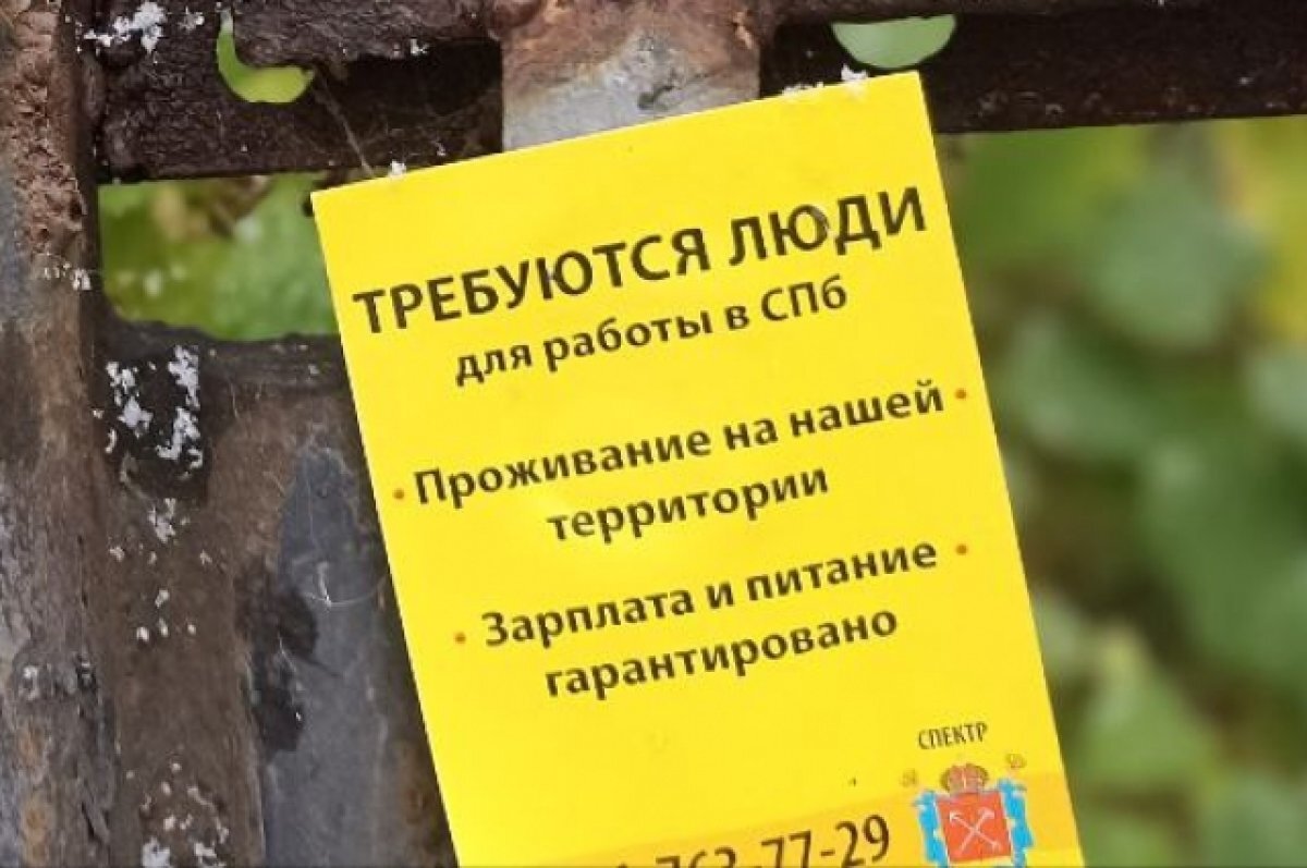    В Петербурге наблюдается острый дефицит кадров в торговле и автобизнесе