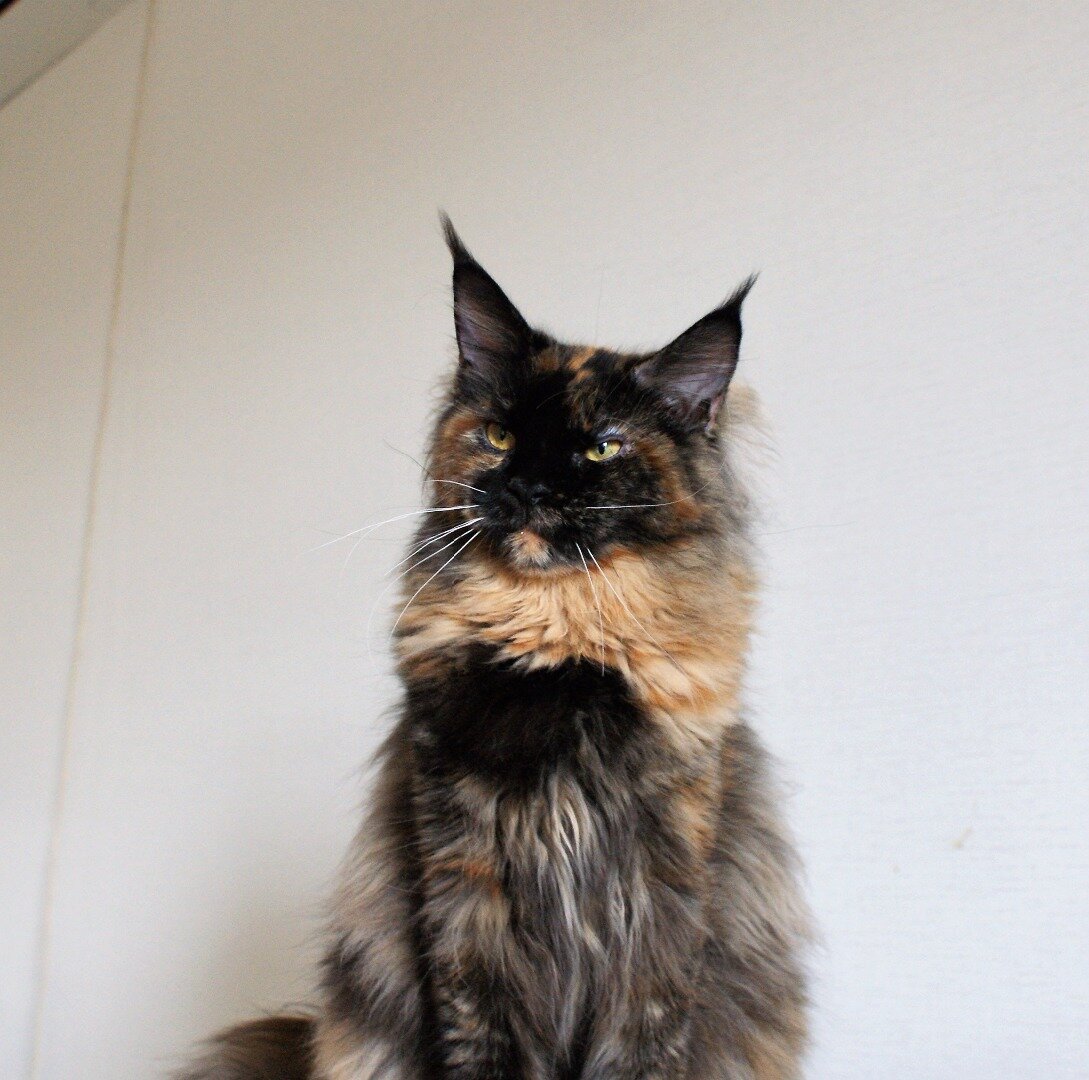 Фото из личного архива.