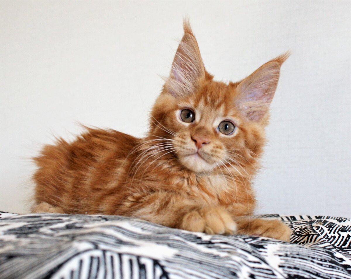 Фото из личного архива.