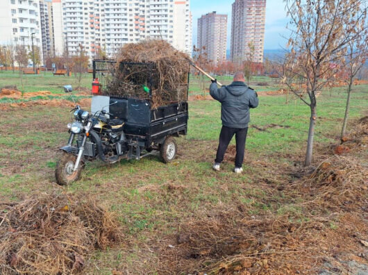    У парка в Суворовском появился оператор //Фото МАУК «Дирекция парков города Ростова-на-Дону»