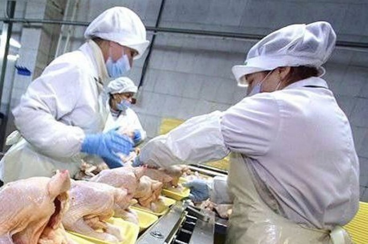    ФАС проверяет птицефабрики Ставрополья из-за роста цен на мясо птицы