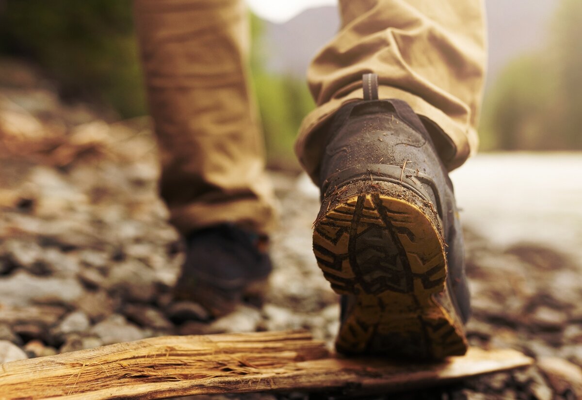   Фото: Shutterstock