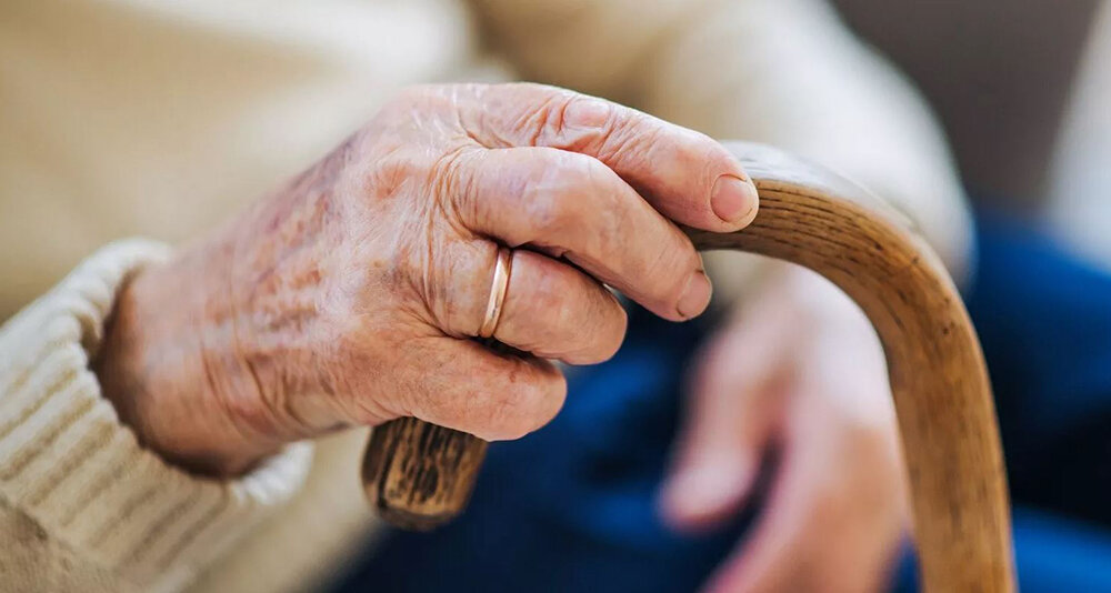    © Пресс-служба Мэра и Правительства Москвы 