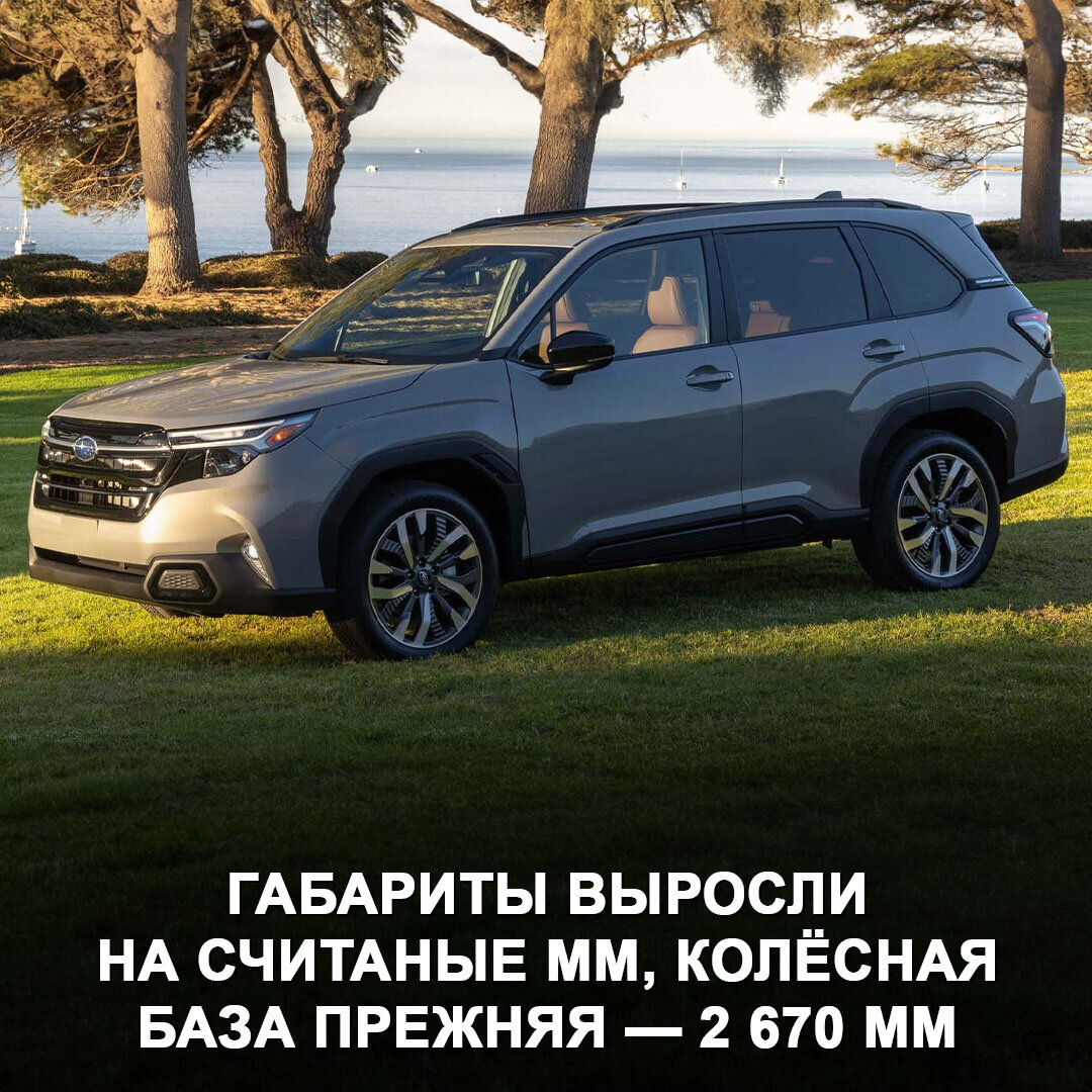 Представлен новый Subaru Forester | Дром | Дзен