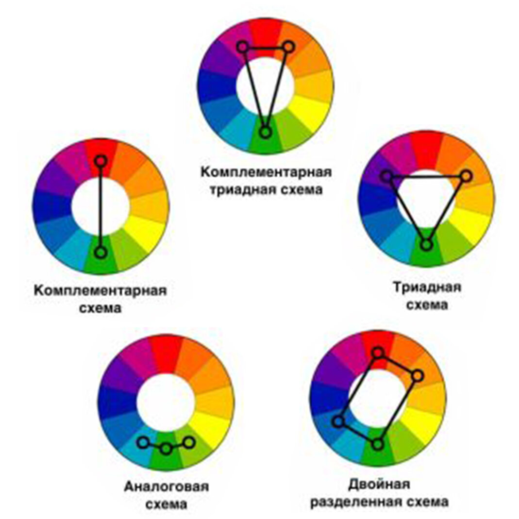 Цветовой круг Иттена в работе флориста | АртФлора | Онлайн маркет букетов |  Дзен
