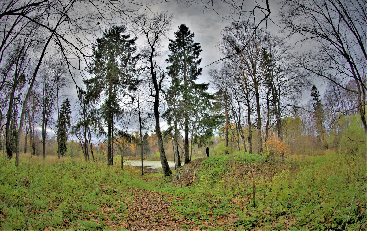 Осенняя печаль. Фото Валерия ТАЛАШОВА.