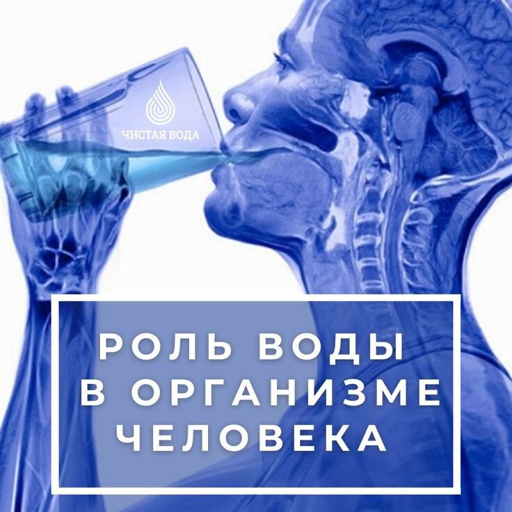 Человеческое тело  состоит из воды на 60-80%(это зависит от возраста). Благодаря воде организм выполняет такие функции:
✅Доставляет питательные вещества в органы;
✅Обеспечивает легкие кислородом;
✅Нормализует работу сердца;
✅Поддерживает стабильную внутреннюю среду;
✅ Улучшает работу иммунитета.
Разбираемся дальше. 
-Вода помогает худеть.Конечно же, это не значит,что выпивая за день литр воды за раз,ваше тело станет как у Голливудской актрисы.Здесь всё немного иначе. Вода выводит лишнее из организма и запускает обменные процессы. ЖКТ – это двигатель, а чистая вода – топливо.
Помимо этого, вода улучшает состояние кожи, волос и ногтей. Доставляя питание во все участки тела, вода поддерживает жизнь и молодость каждой клетки организма. Пьёте много воды-кожа выделяет пот, тем самым очищается.
Не стоит забыть про то, что вода нормализует давление. При недостатке воды организм пытается это компенсировать, сжимая сосуды, повышая при этом давление.Поэтому важно пить достаточно жидкости во время болезни и занятий спортом.
 Как не странно,вода снимает боли в суставах. Больная тема спортсменов – колени. От недостатка воды хрящевая ткань изнашивается быстрее, как результат – артрозы и остеохондрозы. Мы больше устаём и из-за болей, вследствие чего нам не хочется заниматься. 
 Интересный факт, но вода снимает головные боли. Конечно же,если у вас постоянные мигрени,вода вам вряд ли поможет,но голова может болеть из-за недостатка жидкости. Она первая даёт нам сигнал об обезвоживании.  При следующей головной боли подумайте, сколько вы пили сегодня воды?
Вода избавляет от отеков,хотя многие думают совсем наоборот. При обезвоживании тело замедляет выведение воды, из-за чего и отеки.  Когда организм поймёт, что вы больше не собираетесь морить его жаждой, выведет лишнюю жидкость и токсины, а отеки спадут.
Кофе, чай, сок и даже суп – тоже жидкость. Но восполнять запасы лучше чистой питьевой водой. Не минеральной, не газированной. 
Итак, мы рассмотрели роль воды в нашем организме. 
Теперь нужно разобраться: сколько пить воды в день и как? 
Точных значений не существует, сколько бы экспериментов не проводилось. По факту человек должен выпивать 1.5 - 3 литра в сутки. Всё зависит от пола, организма, возраста и т. д. 
Взрослый человек среднего телосложения должен выпивать минимум 1,5 литра воды в день, не считаю приемов жидкой пищи. 
Также говорят, что на 1 кг веса должно потребляться 40 мл воды. 
Допустим, мужчина весит 80 килограмма, значит в день он должен выпивать не менее 3,2 литра. 
Не забывайте и про то, что избыточное количество воды в организме может привести к:
-Отекам
-Нарушению работы мочевого пузыря 
Будьте внимательны, следите за своим здоровьем и пейте воду💧