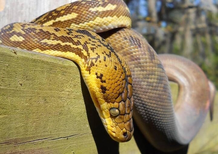 фото Kemper Ruth