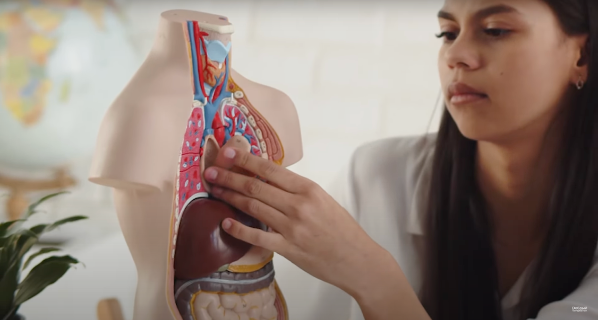 донорство органов