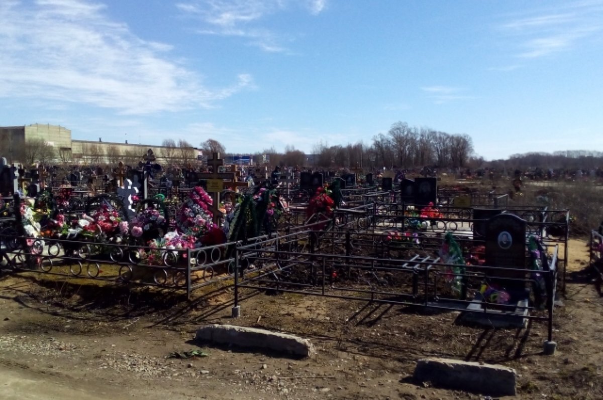    Жители Новосибирска возмущены состоянием кладбища «Южное»