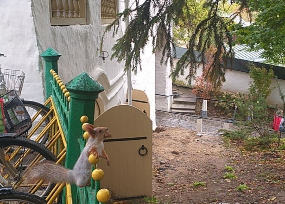    Церковь Николы Вратаря в Печорах передадут пользователю после реставрации