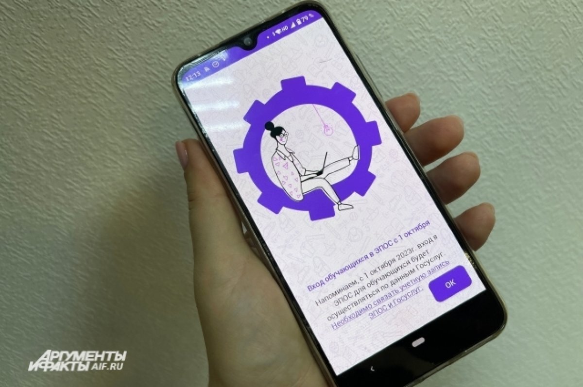    Теперь войти в личный кабинет системы можно исключительно через Госуслуги.