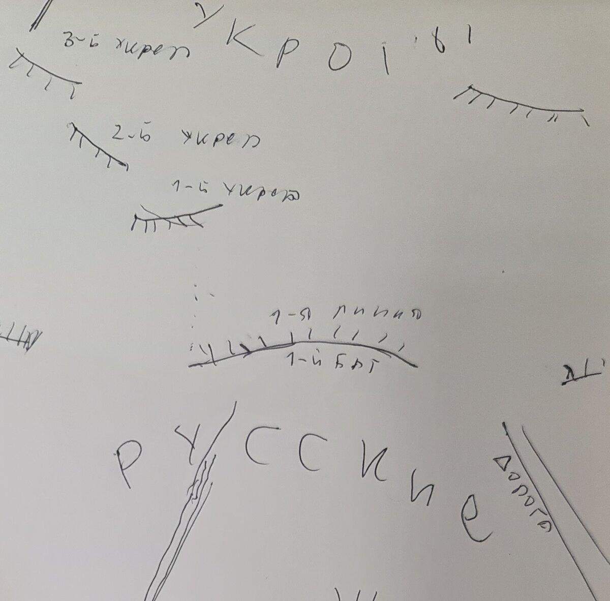 Рисунок из блокнота капитана