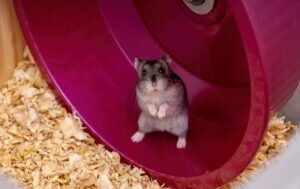    Фото: freepik.com/vinisouza128 Анна Полякова