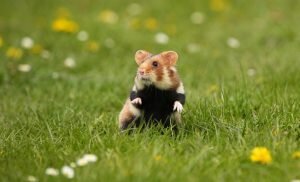    Фото: freepik.com/vladimircech Анна Полякова