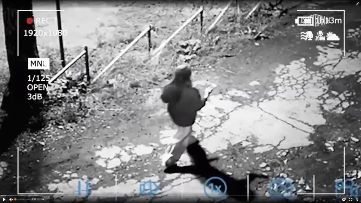 Фото: кадр из видео