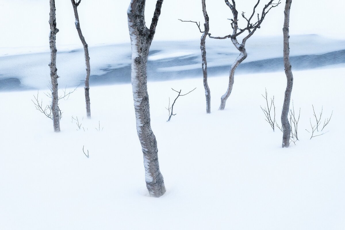     Gabriel Stankiewicz, naturallandscapeawards.com