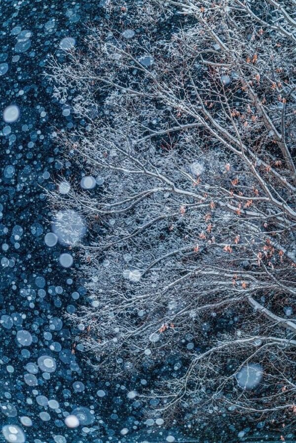    Takahashi Hiroto, naturallandscapeawards.com