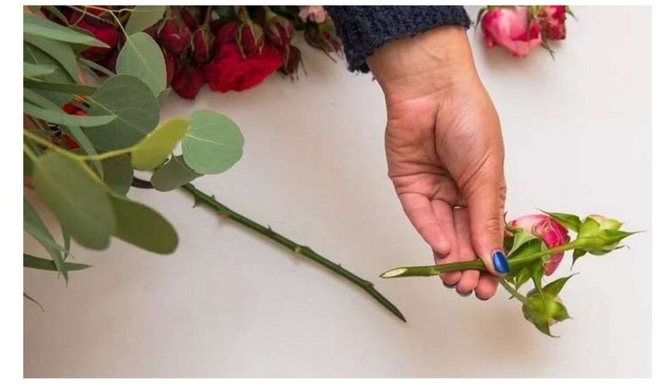 Как правильно сохранить розы